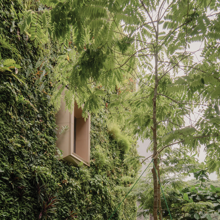 Spotlight Facade Awards: The Deep Veil: The Architecture of a High-Performance Equatorial Façade
