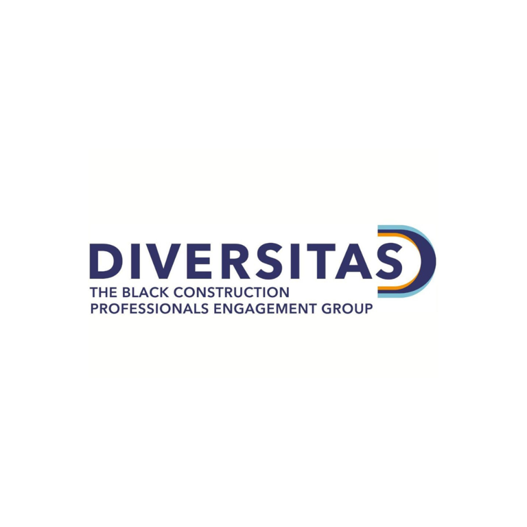 Diversitas launches new website to champion black professionals in construction