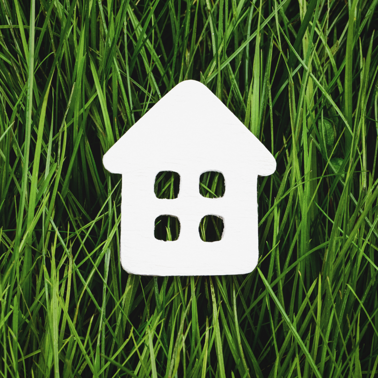 CIBSE joins call for proportionate Biodiversity Net Gain policy for small sites