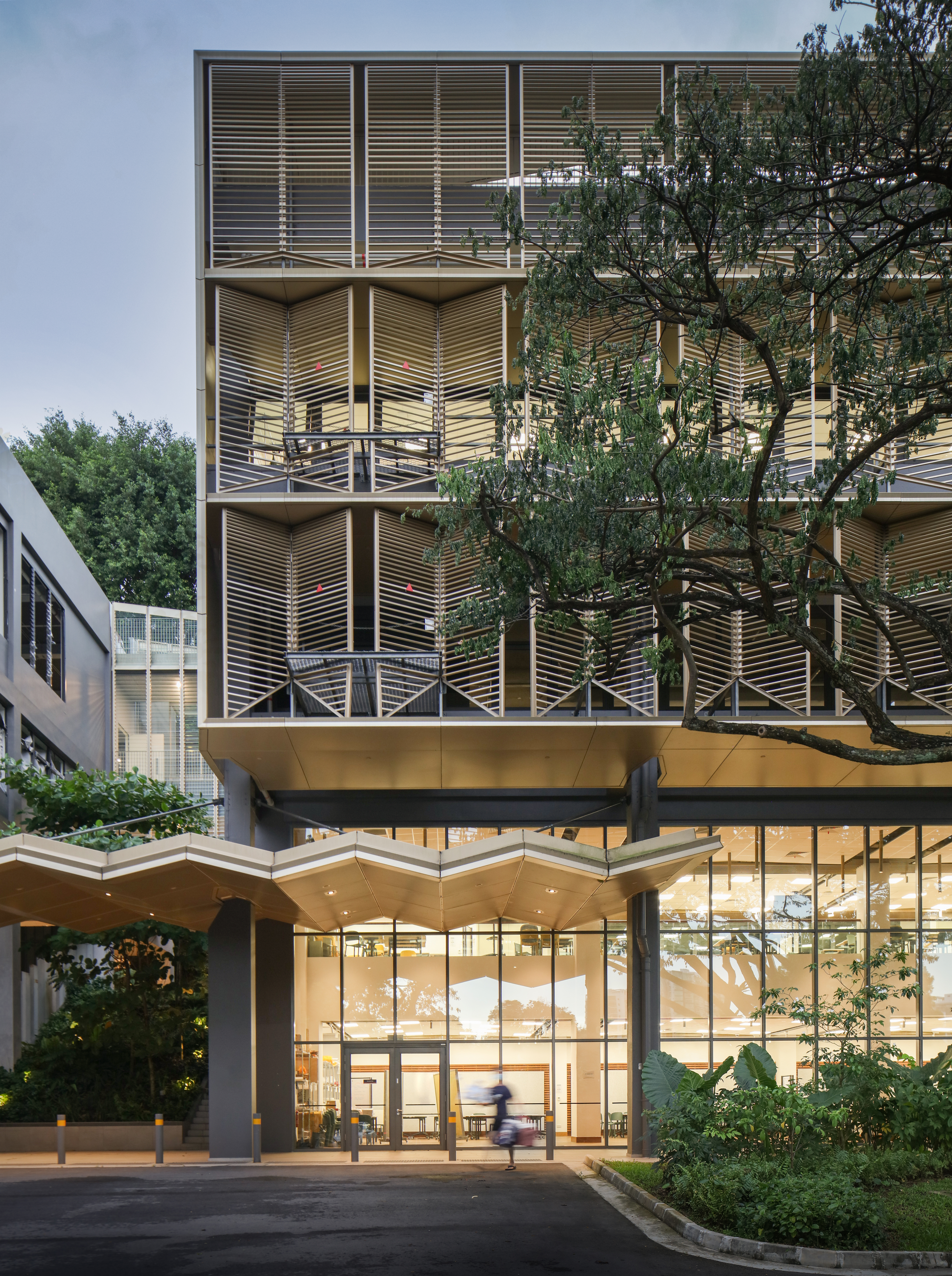 The Deep Veil: The Architecture of a High-Performance Equatorial