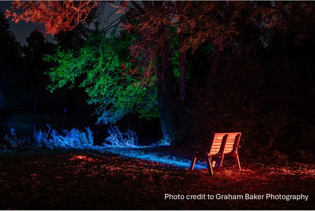 Picture of a chair and tree bathed in coloured lights