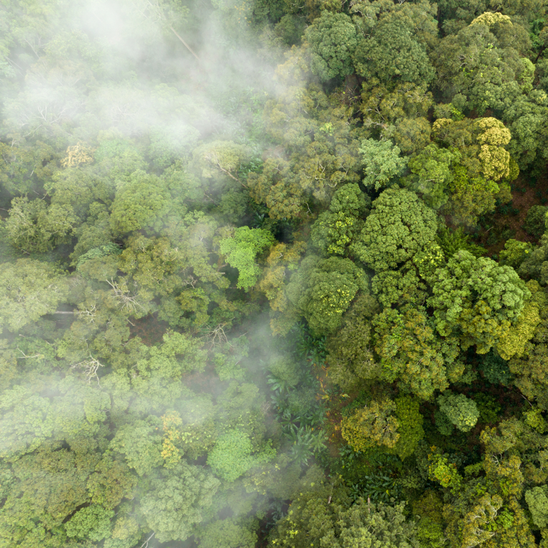 New report highlights urgent need for coordinated action on embodied carbon