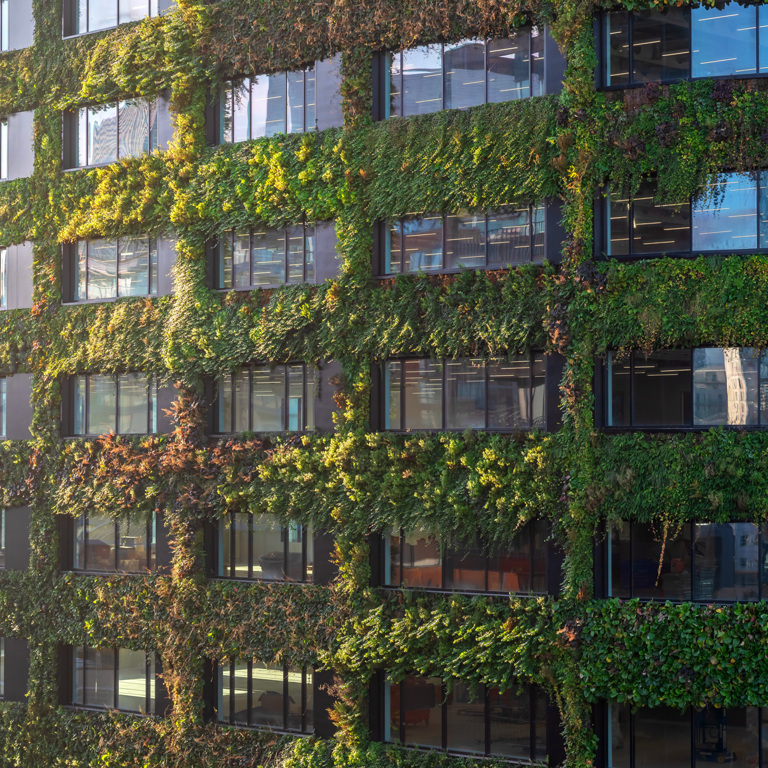 Spotlight Awards: Eden, Manchester: Engineering Europe’s Largest Living Wall