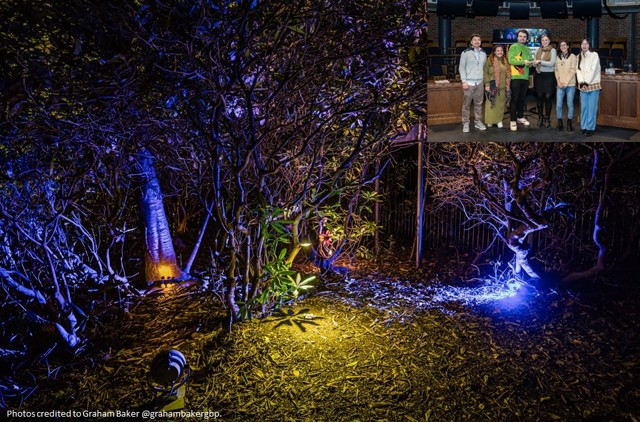 Arup Technical Award Winner Installation