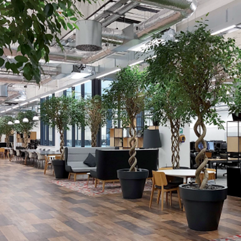 New SLL guide to office lighting considers hybrid working and circular economy